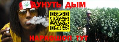 гашик Малоярославец