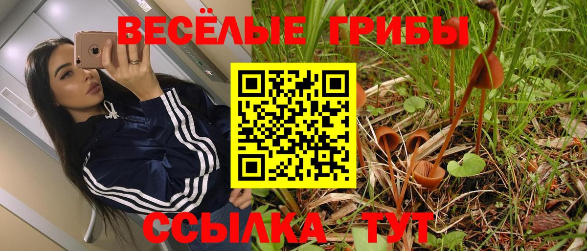 Галлюциногенные грибы Cubensis Гулькевичи